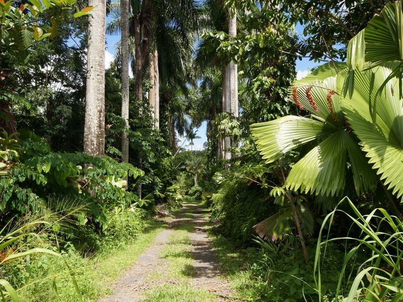 L3 Shell Pocket Road – El Arish, Tully QLD 4854