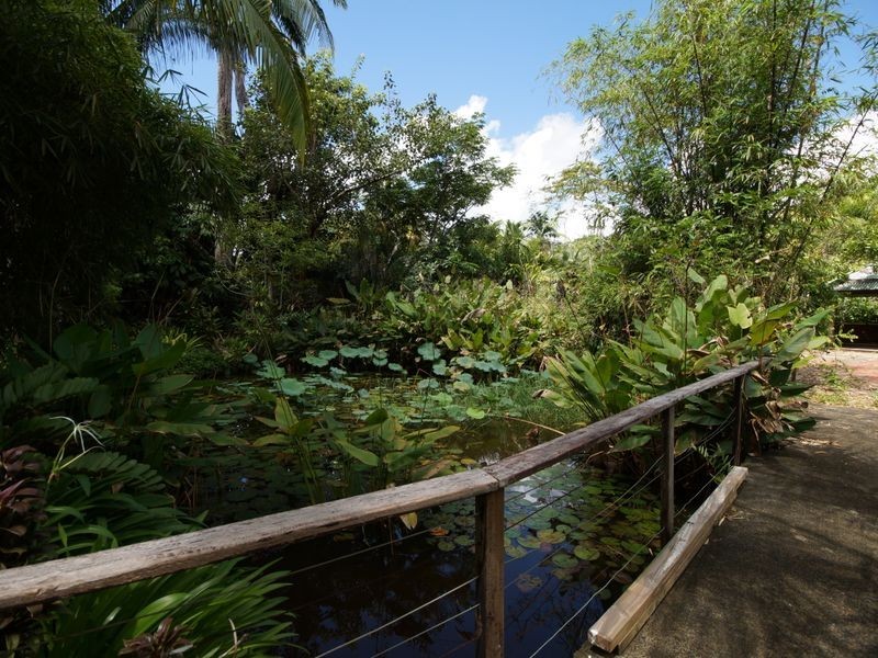 L3 Shell Pocket Road – El Arish, Tully QLD 4854