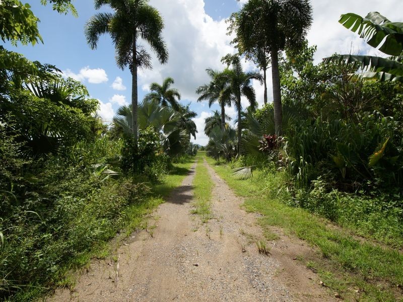 L3 Shell Pocket Road – El Arish, Tully QLD 4854