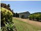 555 Bingil Bay Road, Bingil Bay QLD 4852