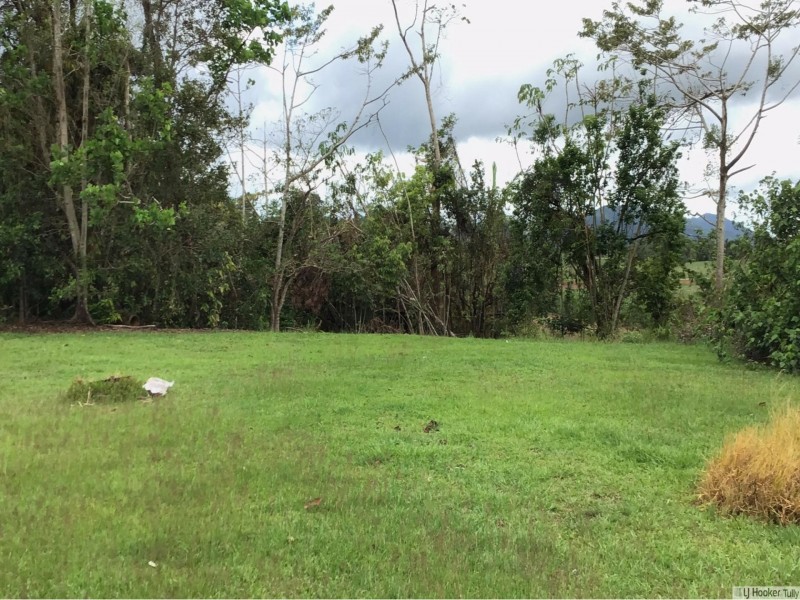 752 Old Tully Road, Djarawong QLD 4854