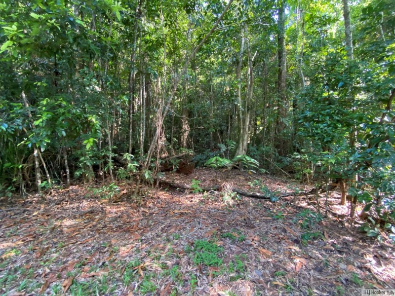 L2-3 Sunshine Road, East Feluga QLD 4854