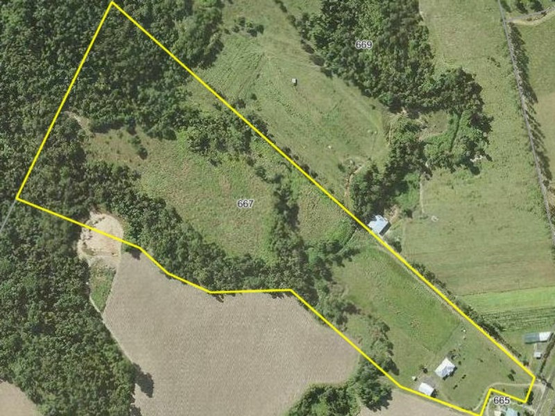 667 Old Tully Road, Feluga QLD 4854