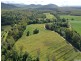 55 Marron Road, Lower Tully QLD 4854