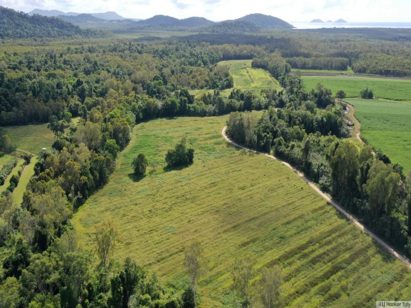 55 Marron Road, Lower Tully QLD 4854