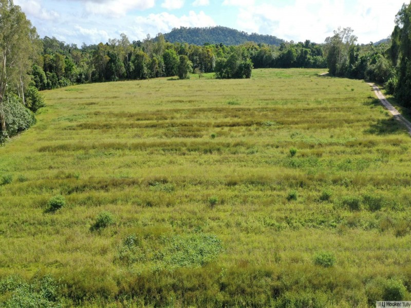 55 Marron Road, Lower Tully QLD 4854