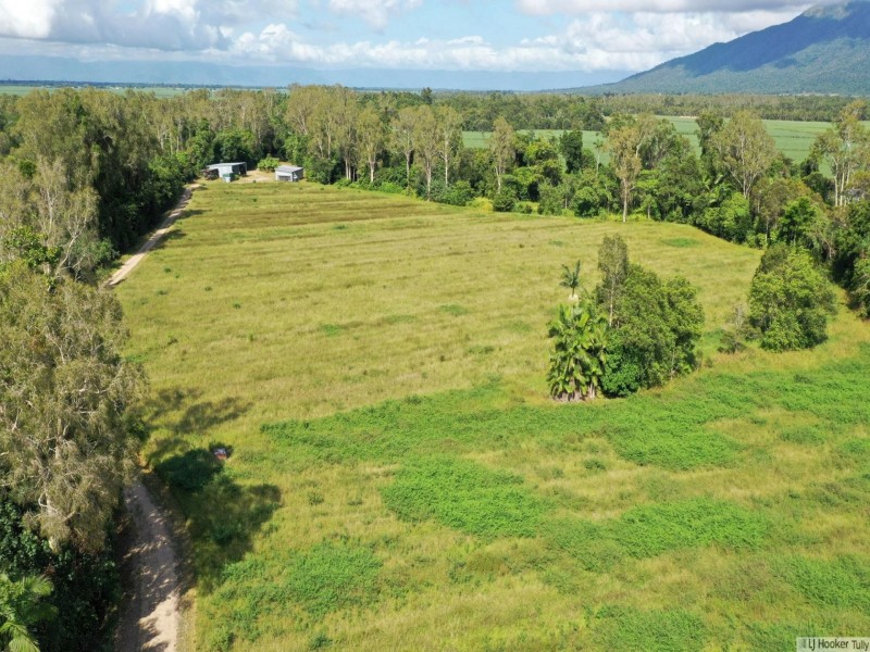 55 Marron Road, Lower Tully QLD 4854
