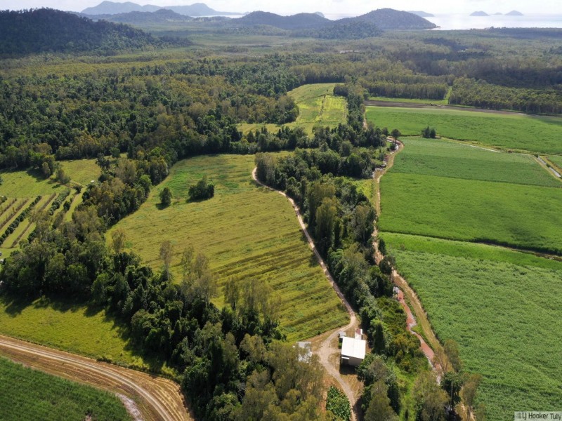 55 Marron Road, Lower Tully QLD 4854