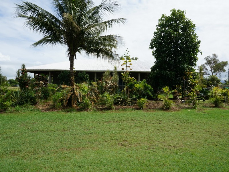 69 Paradise Palm Drive, Tully Heads QLD 4854