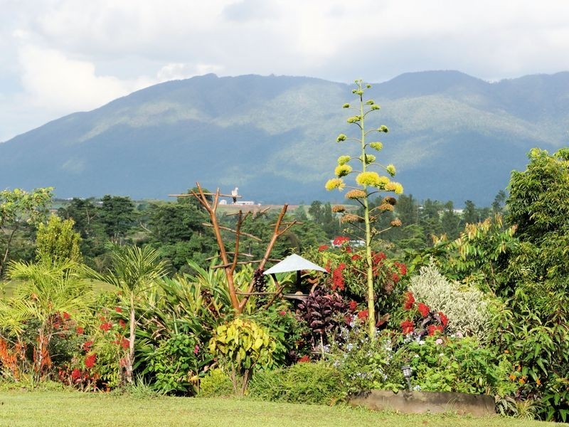 36 Gabiola Road, Djarawong QLD 4854