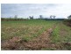 Murray Upper QLD 4854