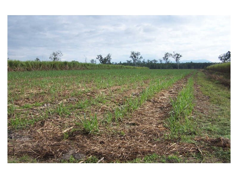 Murray Upper QLD 4854