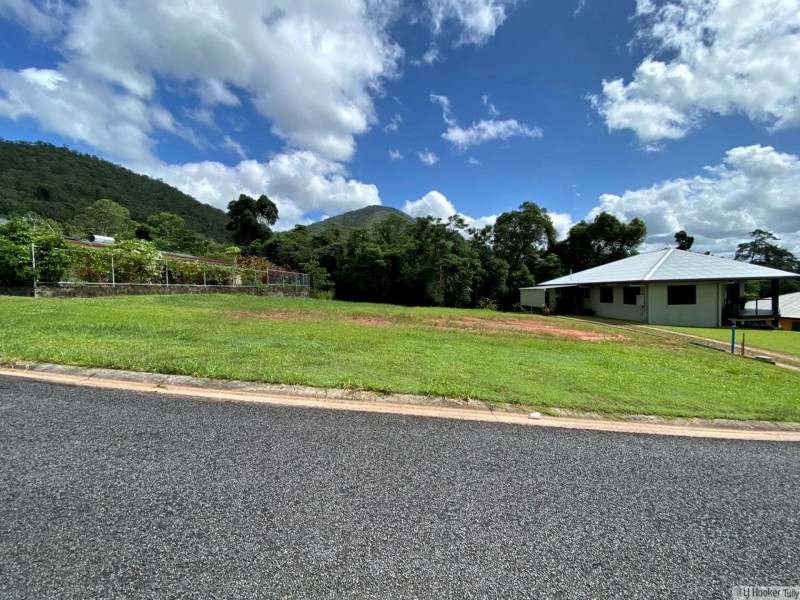 33 Pease Street, Tully QLD 4854