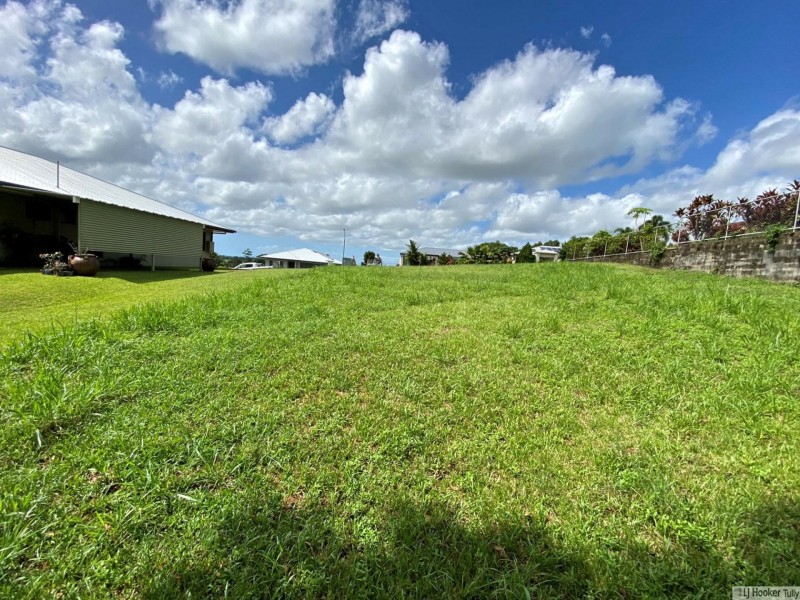 33 Pease Street, Tully QLD 4854