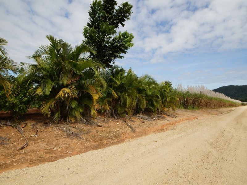 L7 Bruce Highway, Silky Oak QLD 4854