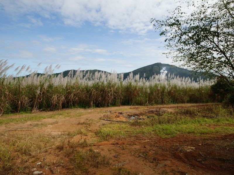 L7 Bruce Highway, Silky Oak QLD 4854