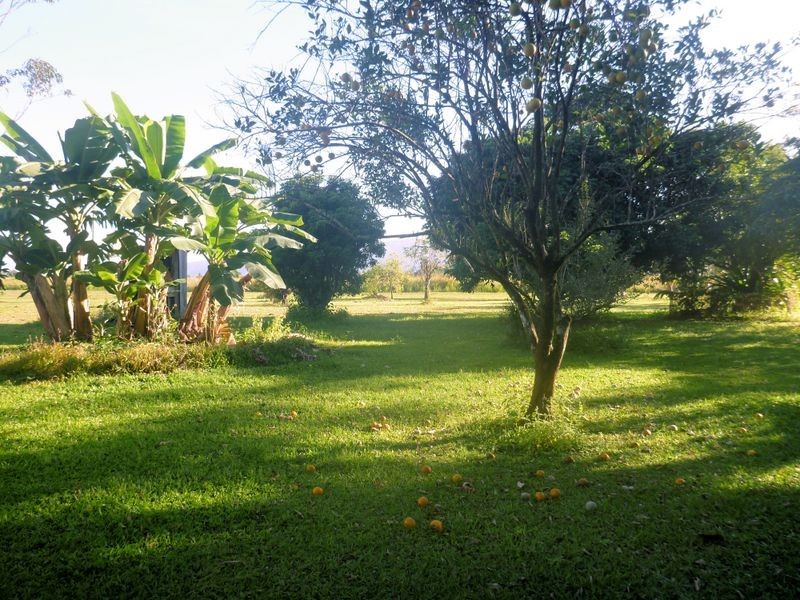 8 Schumann Road – Djarawong, Tully QLD 4854