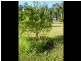 8 Schumann Road – Djarawong, Tully QLD 4854