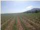 L517 Unnamed Road, Tully Heads QLD 4854