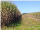 L517 Unnamed Road, Tully Heads QLD 4854