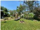 16 Henry Street, Tully QLD 4854