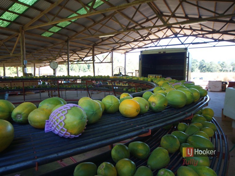 170 Ronlund Road, Murray Upper QLD 4854