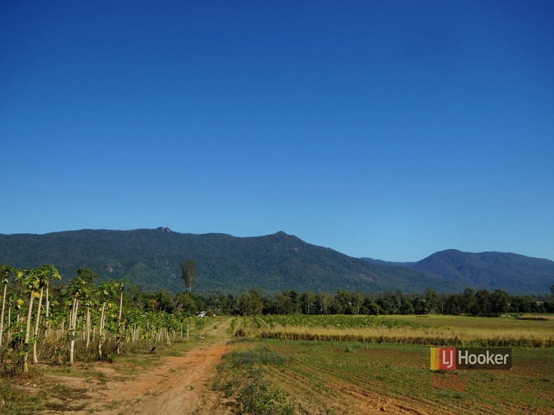 170 Ronlund Road, Murray Upper QLD 4854