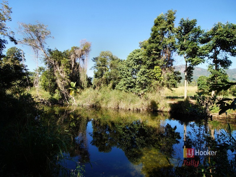 170 Ronlund Road, Murray Upper QLD 4854