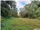 788 Old Tully Road, Djarawong QLD 4854