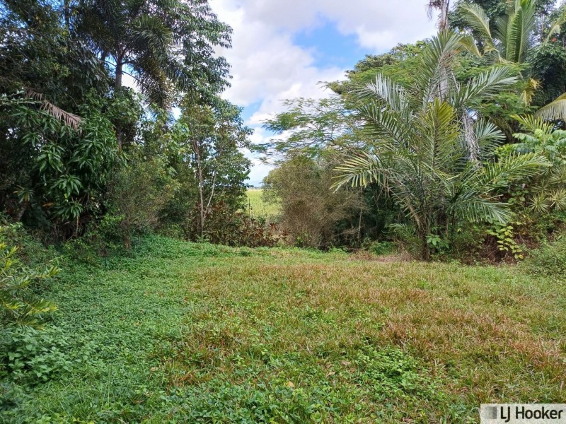788 Old Tully Road, Djarawong QLD 4854