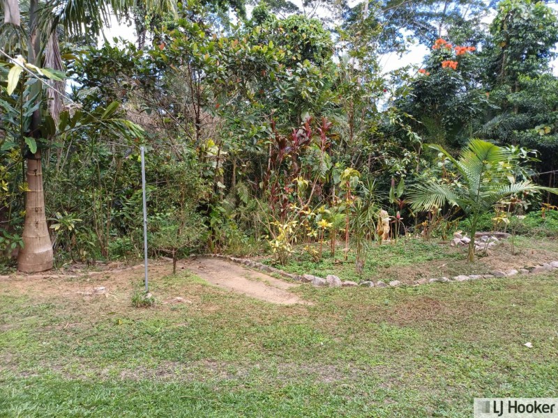 788 Old Tully Road, Djarawong QLD 4854