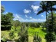 214 Tully Gorge Road, Tully QLD 4854