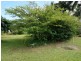 43 Royston Street, El Arish QLD 4855
