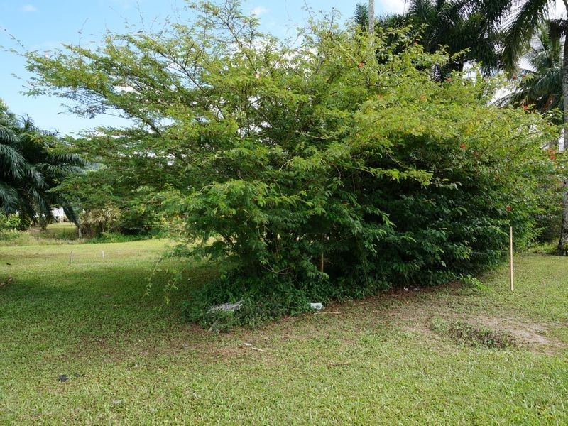 43 Royston Street, El Arish QLD 4855