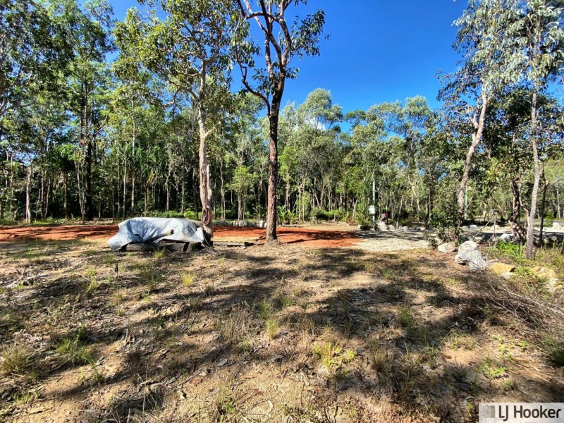 L28 McIntosh Road, East Feluga QLD 4854