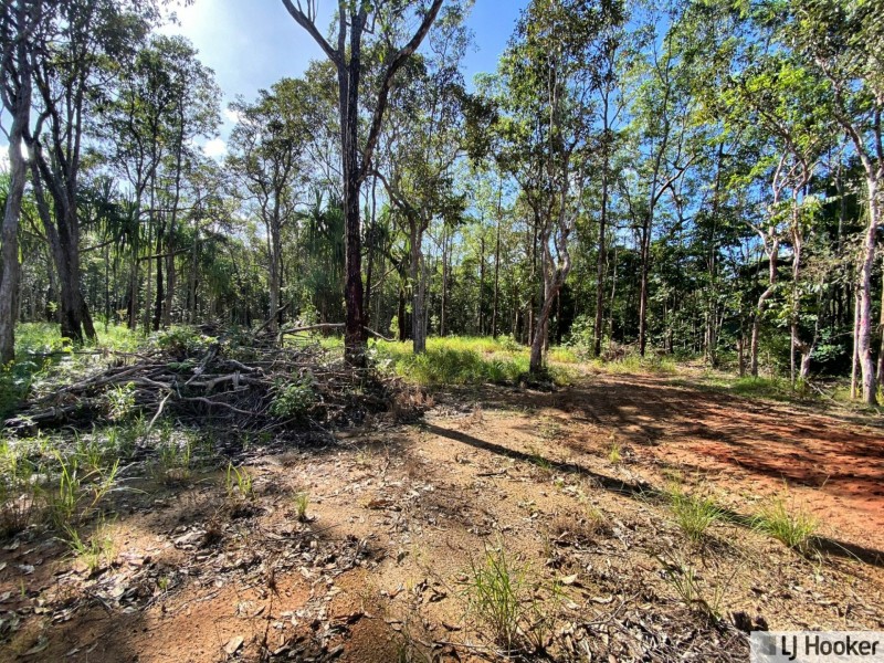 L28 McIntosh Road, East Feluga QLD 4854