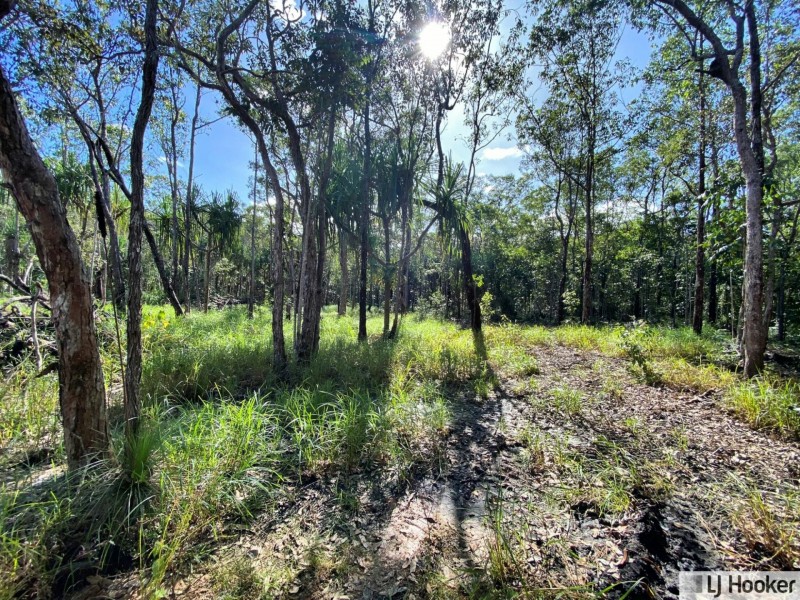 L28 McIntosh Road, East Feluga QLD 4854