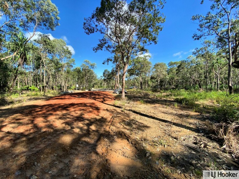 L28 McIntosh Road, East Feluga QLD 4854