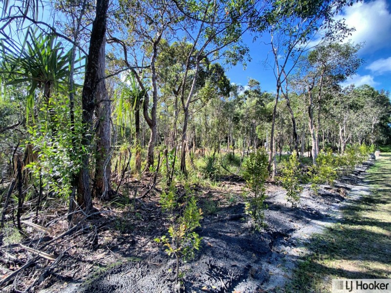 L28 McIntosh Road, East Feluga QLD 4854