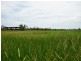 320 Bluff Road, Bilyana QLD 4854