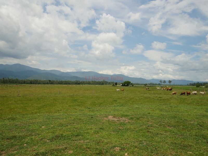 320 Bluff Road, Bilyana QLD 4854