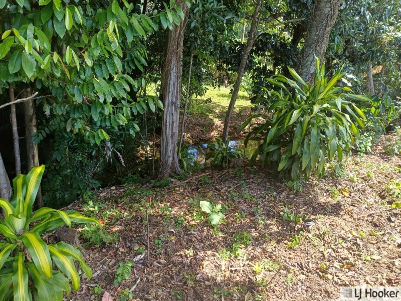 3 Clarke-Kennedy Street, Tully QLD 4854