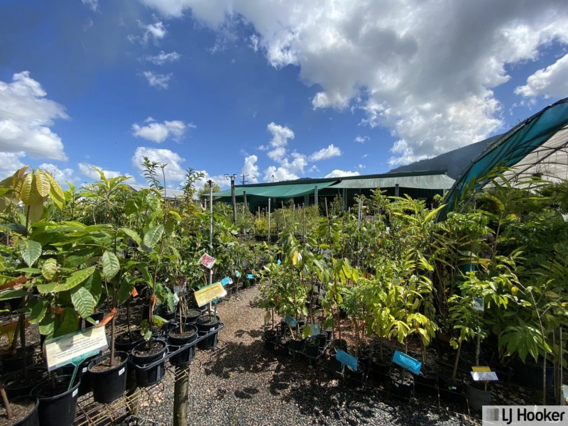 2 & 4 Richardson Street, Tully QLD 4854
