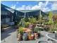 2 & 4 Richardson Street, Tully QLD 4854