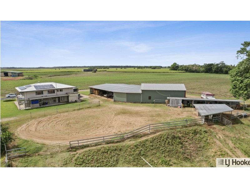 61 Davidson Road, Euramo QLD 4854