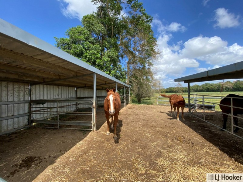 61 Davidson Road, Euramo QLD 4854
