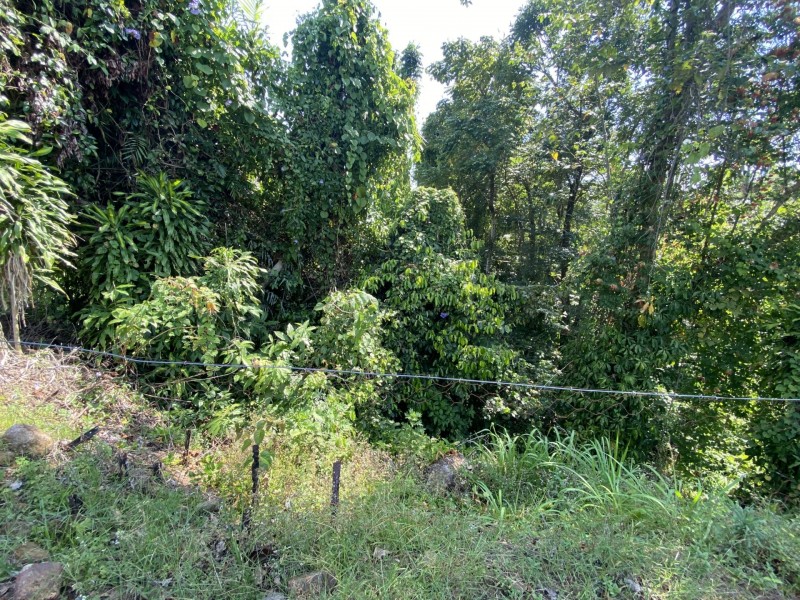 14 Parmeter Street, Tully QLD 4854