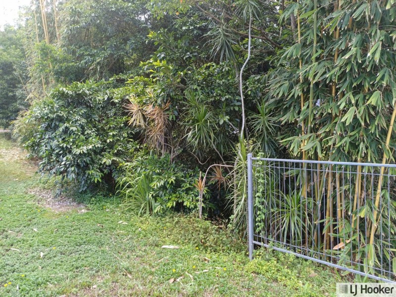 20 Henry Street, Tully QLD 4854