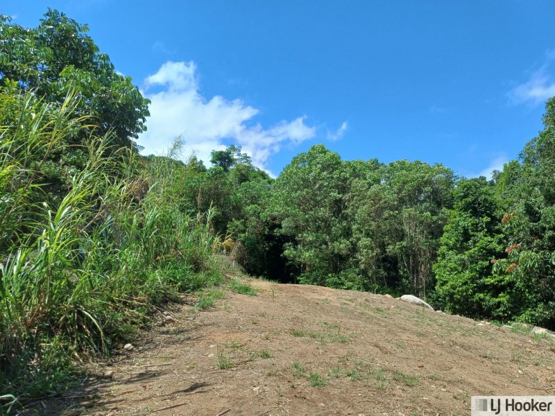 34 Maple Terrace, Tully QLD 4854