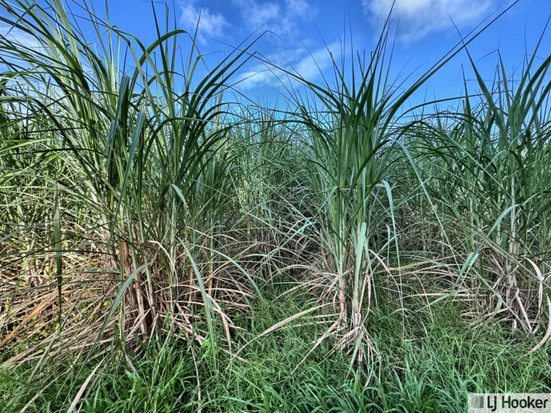 328 Rockingham Road, Rockingham QLD 4854